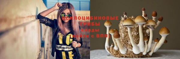 первитин Медногорск