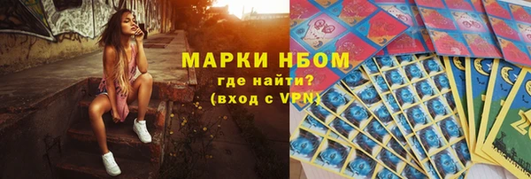 spice Богородицк