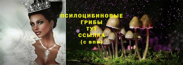 прущая мука Мегион