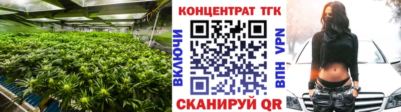 где найти наркотики Камышин кракен как войти Дистиллят ТГК концентрат