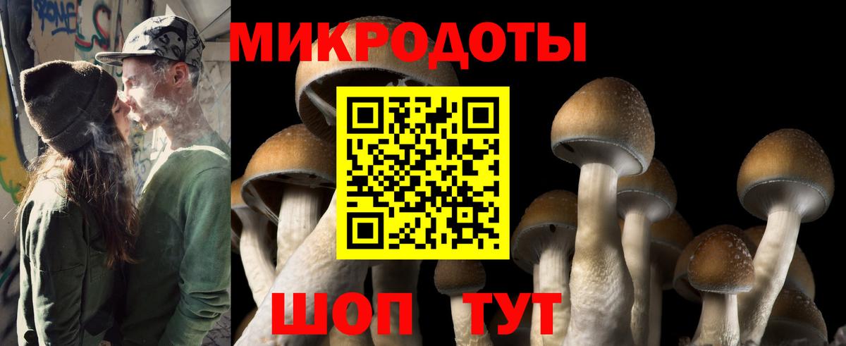 Псилоцибиновые грибы Psilocybe  Галлюциногенные грибы мухоморы  Вход с VPN  Камышин 