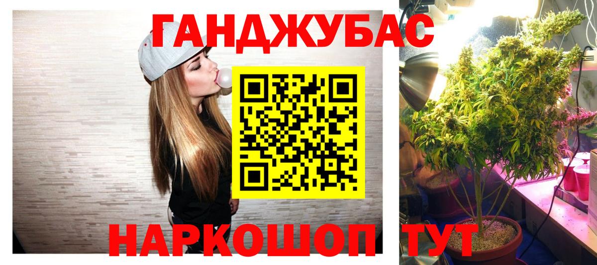 Конопля марихуана  Бошки Шишки план  Бошки Шишки сатива  Камышин  Конопля марихуана 